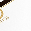 corporativa15