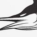 logo15