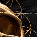 portada07